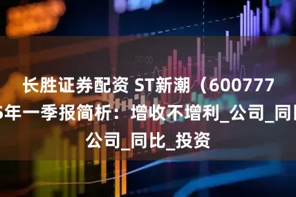 长胜证券配资 ST新潮（600777）2025年一季报简析：增收不增利_公司_同比_投资