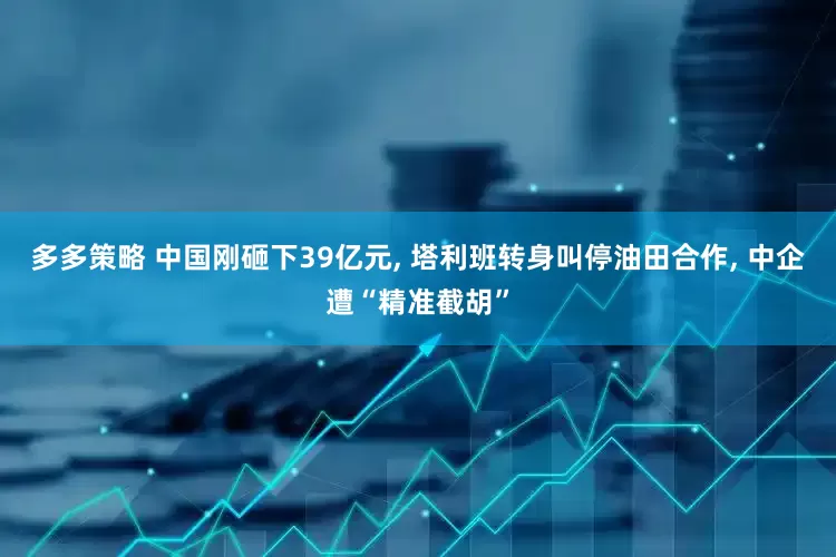 多多策略 中国刚砸下39亿元, 塔利班转身叫停油田合作, 中企遭“精准截胡”