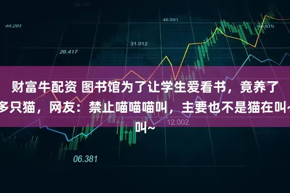 财富牛配资 图书馆为了让学生爱看书，竟养了多只猫，网友：禁止喵喵喵叫，主要也不是猫在叫~
